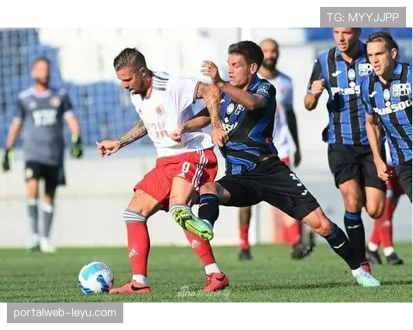 亚特兰大球员赛季表现亮眼，球队强势冲击季后赛引关注